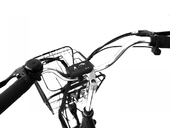 Электровелосипед Elbike Duet (С01-15L) - Фото 1