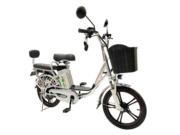 Электровелосипед GreenCamel Транк 18 V8 (R18 250W 60V 20Ah)