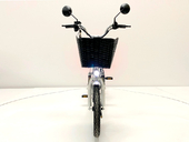 Электровелосипед GreenCamel Транк 18 V8 (R18 250W 60V 20Ah) - Фото 5