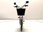 Электровелосипед GreenCamel Транк 20 V8 PRO (R20 250W 60V 10Ah) - Фото 7