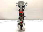 Электровелосипед GreenCamel Транк 20 V8 PRO (R20 250W 60V 20Ah) - Фото 3