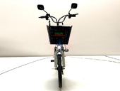 Электровелосипед GreenCamel Транк 20 V8 (R20 250W 60V 20Ah) - Фото 7