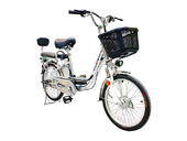 Электровелосипед GreenCamel Транк-20 V2 (R20 250W) [без АКБ] - Фото 0