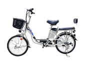 Электровелосипед GreenCamel Транк-20 V2 (R20 250W) [без АКБ] - Фото 3