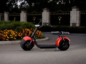 Электросамокат Harley CITYCOCO 1000W - Фото 19